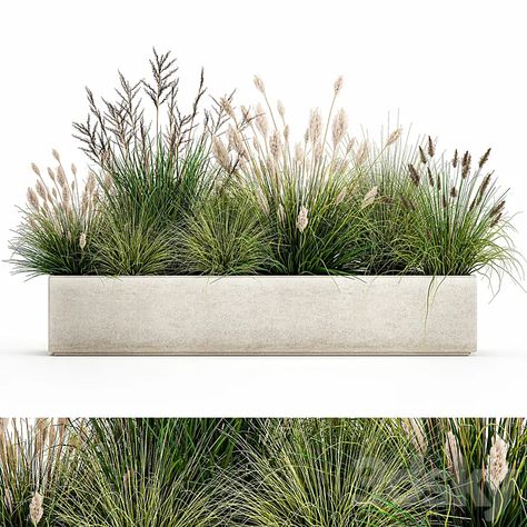 Download Link: https://3ds-max.org/plant/plants/collection-of-plants-in-a-pot-with-pampas-grass-reeds-flowerbed-bushes-landscaping-set-1076-3d-model-free-download/ Bushes Landscaping, Casa Malaparte, Tropical Garden Design, Dry Garden, Grasses Landscaping, Architecture Collage, Tree Png, Rain Garden, Hotel Decor