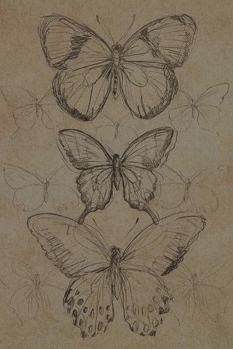 Famous Drawings Sketches, Victorian Doodles, Butterfly Drawing Reference, Dark Academia Sketchbook, Victorian Era Drawing, Dark Academia Drawings, Dark Academia Drawing Ideas, Dark Academia Sketch, Dark Academia Doodles