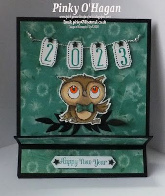 Pinky's World Stamping Projects: Book Cradle Card Book Cradle Card, Su Alphabet, Adorable Owls, Stamping Projects, Silhouette Cards, Retirement Cards, Card Techniques, Interactive Cards, Stamp Projects