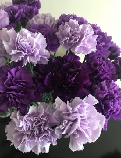 Purple Carnation Bouquet, Purple Flower Arrangements, Purple Carnations, Carnation Bouquet, Different Types Of Flowers, Boquette Flowers, Purple Wedding Flowers, Carnation Flower, Nothing But Flowers