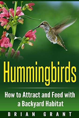 Hummingbirds: How to Attract and Feed with a Backyard Habitat, http://www.amazon.com/gp/product/B01DJNLNO6/ref=cm_sw_r_pi_eb_8BYgzbXMXY6NS Hummingbird Nectar Recipe, Backyard Habitat, Hummingbird Nectar, Attract Hummingbirds, Bird House Feeder, How To Attract Hummingbirds, Pretty Birds, Books To Read Online, Free Kindle Books