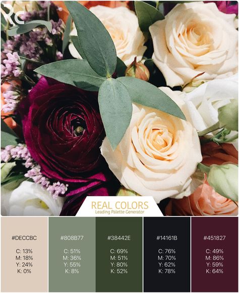 Sage Green And Burgundy Color Palette, Plum And Sage Green Wedding, Burgandy Color Pallet, February Wedding Colors, Plum Color Scheme, Maroon Color Palette, Cmyk Palette, Sage Color Palette, Burgundy Colour Palette