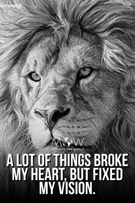 Lion Quotes Inspiration Motivation, Lion Motivation, Lion Lioness, Leo Quotes, Lion Quotes, Motivation Money, Success Inspiration, Amazing Inspirational Quotes, Lion Images