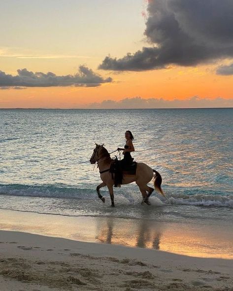 Horse Beach, Horsey Life, Horse Riding Aesthetic, Equestrian Aesthetic, Riding A Horse, Riding Horse, Horse Aesthetic, Beach Shoot, 2023 Vision