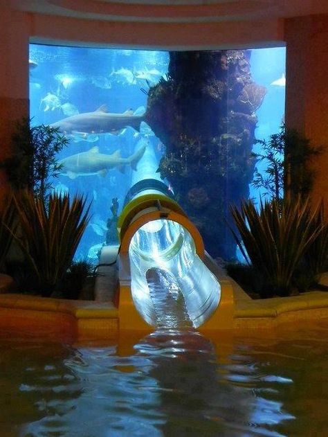 Atlantis Water Park in Dubai - Coolest Aquarium Waterslide! The tube slide goes through the Shark Aquarium, giving the illusion that you're swimming with these sharp-fanged carnivores. Love it and I want to do it!! Golden Nugget Las Vegas, Golden Nugget, Dream Pools, Las Vegas Hotels, Destination Voyage, Water Slide, Shark Tank, Bora Bora, Cool Pools