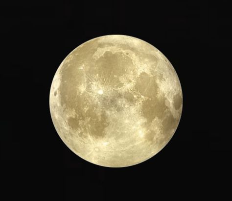 #themoon #moon #night #yellow #gold #golden #goldenmoon #moonlover Beige Homescreen, Pale Moon, Yellow Moon, Moon Night, Moon Lovers, Pale Yellow, Yellow Color, Celestial Bodies, Yellow Gold