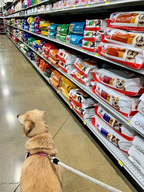 Walking down the dog food aisle in the supermarket with my dog is not something I do often -- because I get our dog food delivered from free from Nature's Select. Here's my experience with this all-natural dog food delivery service... All Natural Dog Food, Dogs Things, Dog Food Delivery, Senior Dog Food Recipes, Dog Treats Homemade Recipes, Diy Dog Treats, Scammer Pictures, Dog Food Bowls, Natural Dog Food