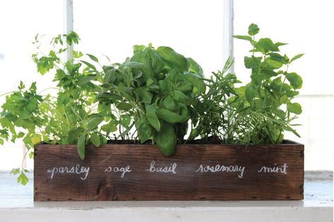 How To Grow a Windowsill Herb Garden Herb Kitchen, Windowsill Herb Garden, Window Herb Garden, Herb Diy, Herb Garden In Kitchen, Diy Herb Garden, Vertical Herb Garden, Pasta Fatta In Casa, Kitchen Herbs