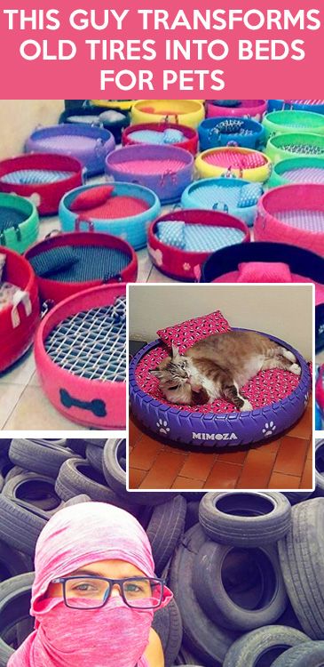 Tire Dog Bed Diy, Tire Cat Bed, Tire Dog Bed, Cute Beds, Repurposed Tires, Tires Diy, Pet Crate Furniture, Repurposed Tire, Daisy Ideas