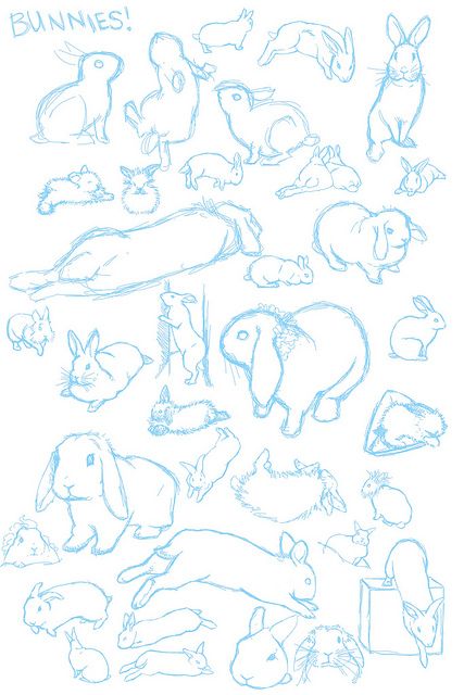 @randomlyawake's beautiful studies of bunnies  : ) Hase Tattoos, Tier Tattoo, Petit Tattoo, Rabbit Drawing, Bunny Tattoos, Rabbit Tattoos, Bunny Drawing, Animal Study, Rabbit Art