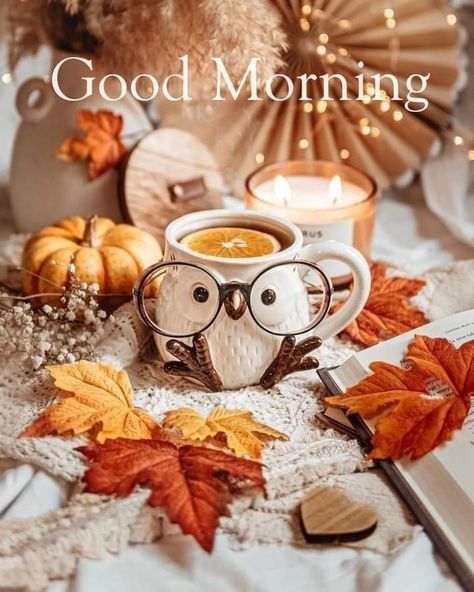 Fall Season Pictures, Cute Fall Wallpaper, Cute Good Morning Quotes, Iphone Pictures, Autumn Morning, Autumn Scenes, Cute Good Morning, Fabulous Fall, Good Morning Coffee