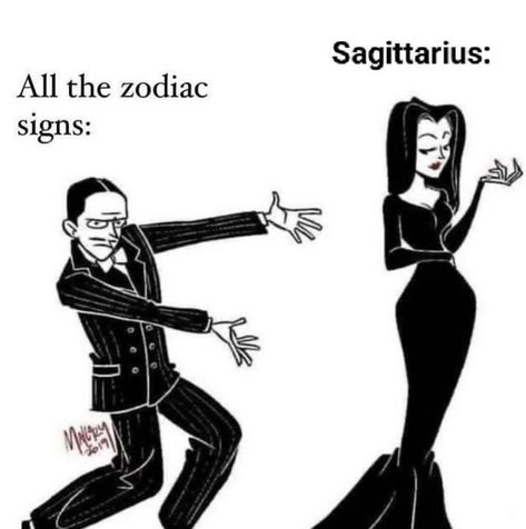 Leo Aries, Zodiac Sagittarius Facts, Sagittarius Art, Taurus Memes, Aries Aesthetic, Virgo Memes, Scorpio Women, Scorpio Girl, Aries Zodiac Facts