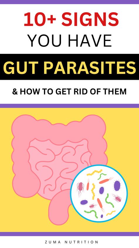 Parasitic Infection Parasitic Worms In Humans, Symptoms Of Parasites In Humans, Parasites Symptoms, Die Off Symptoms, Skin Parasites, Parasite Cleanse, Blackheads On Nose, Food Poisoning, Digestion Problems