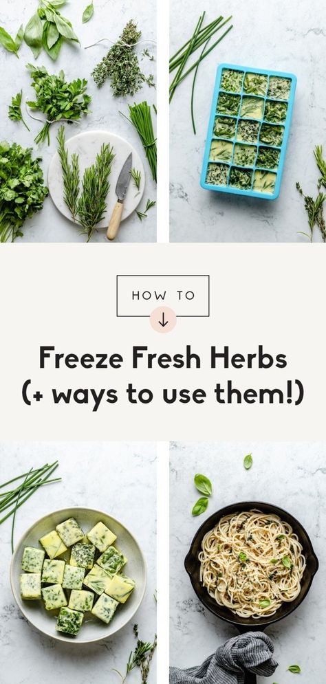 Learn how to freeze herbs for later and use them in your favorite recipes! With this step-by-step tutorial, you'll be able to avoid extra food waste by easily freezing fresh herbs in an ice cube tray. Perfect for flavoring pasta, soup, chicken, one pan meals and more. #howto #kitchenhack #herbs How To Freeze Herbs, Freeze Fresh Herbs, Freeze Herbs, Freezing Food Guide, Freezing Fresh Herbs, Photograph Food, Freezing Herbs, Ambitious Kitchen, Soup Chicken