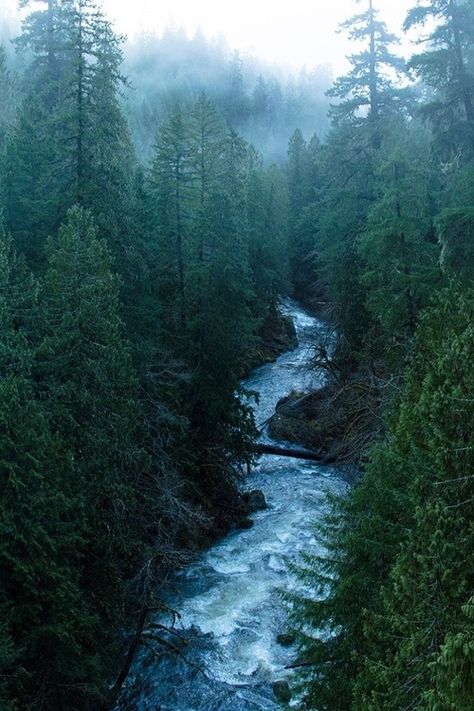 Icy blue water ... the sky, outdoors ... nature ~ the winter trees, woods and fog ...<3<3<3 Wallpapers Christmas, Christmas Aesthetic Wallpaper, Christmas Wallpapers, Belle Nature, Aesthetic Christmas, Viria, Blue River, Tall Trees, Winter Trees