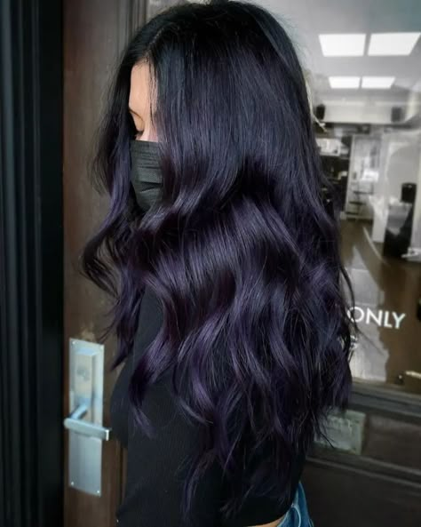 Purple Black Hair, Dark Purple Hair Color, Purple Hair Highlights, Dark Purple Hair, Plum Hair, Violet Hair, Hair Advice, Hair Color Purple, Pretty Hair Color