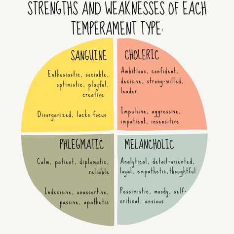 Temperaments Personality, Choleric Temperament, The Four Temperaments, 4 Temperaments, Four Temperaments Personality Types, Melancholic Temperament, Thrive Approach, Temperament Types, Instinctual Variants