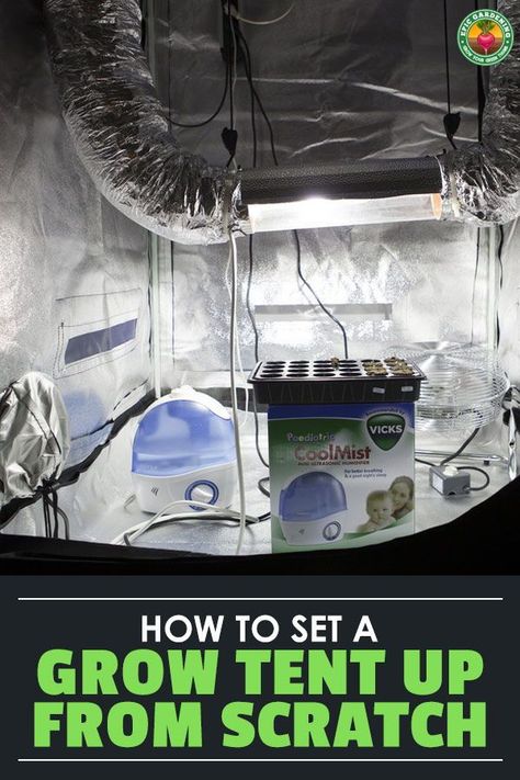 Are you wondering about setting up your very first tent? You’re in the right place! Grow tents are one of the most important tools when it comes to indoor gardening and setting them up is a simple process once you know what’s needed. Setting Up A Grow Tent, Grow Tent Vegetables, Grow Tents Indoor, Epic Gardening, Modern Homestead, Diy Tent, Farm Projects, Herb Gardening, Grow Room