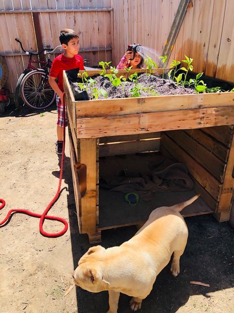 Dog House With Planter On Top, Dog Raised Bed, Outdoor Dog Shelter Diy, Diy Dog Shade Outdoors, Outdoor Dog Bed Diy, Dog House Pallets Diy, Pallet Dog House Easy, Dog House With Pallets, Pallet Dog House Outdoor