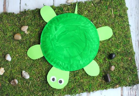 SIMPLISTICALLY LIVING Paper Plate Turtle, Diy Turtle, Paper Flower Wall Hanging, Wall Hanging Ideas, Fun Summer Crafts, Turtle Crafts, Paper Plate Crafts For Kids, Flower Wall Hanging, Hanging Ideas