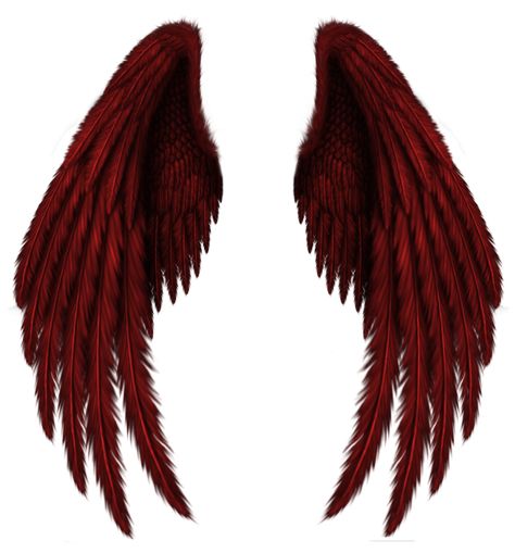 Red Angel Wings, Hawk Wings, Wallpaper Unicorn, Angel Wings Png, Angel Wings Drawing, Wings Png, Maquillage On Fleek, Angel Wings Art, Red Angel