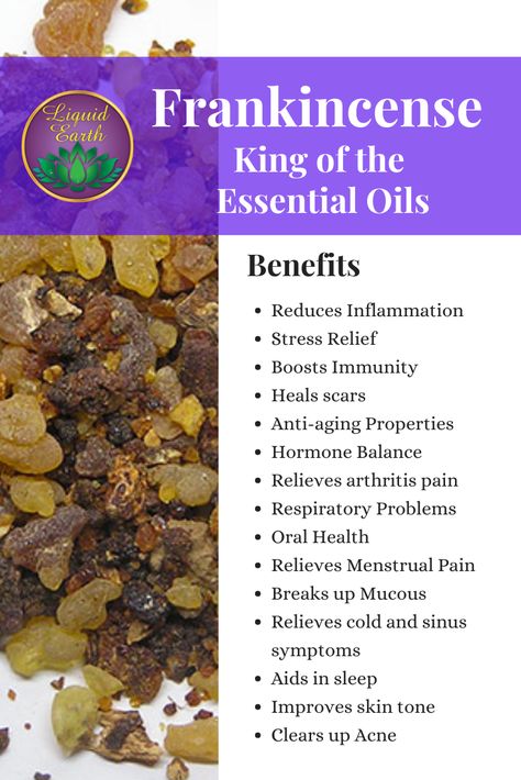 Frankincense is one of the great healing essential oils for your skin. Frankincense soothes and smoothes the skin, clearing up scars, acne and fine lines, we use it in quite a few of our products and love the effects of it.     We use Frankincense in several of our products, our "Fraknincense Facial Oil",  Frankincense & Myrrh Cream and "Shea Body Butter Nourish"  #skincare #beauty #organic #skin #antiaging #skincareproducts #aromatherapy #liquidearth Frankincense Essential Oil For Pain, Frankincense Essential Oil Benefits Skin, Frankincense And Myrrh Benefits, Myrrh Benefits, Myrrh Essential Oil Uses, Frankensence Oil Uses, Frankensence Oil, Benefits Of Frankincense Essential Oil, Benefits Of Frankincense Oil