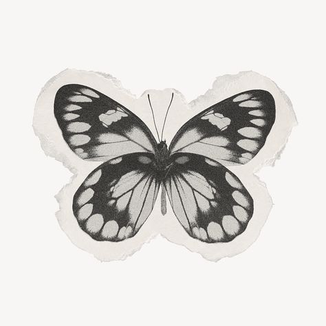 About Butterfly, Ripped Paper, Rosé Black And White, Rosé Png, Aesthetic Journal, Vintage Png, Vintage Moon, Png Aesthetic, Butterfly Drawing