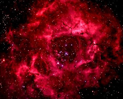 Supernova Remnant, Emission Nebula, Wallpaper Horror, Red Nebula, Rose Galaxy, Galaxy Red, Rosette Nebula, Red Galaxy, Faith Evans