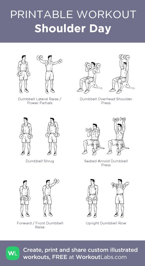 Shoulder Day: my visual workout created at WorkoutLabs.com • Click through to customize and download as a FREE PDF! #customworkout Shoulder Day Workout, Shoulder Workouts For Men, Shoulder Workout Routine, Back And Shoulder Workout, Workout Labs, Best Shoulder Workout, Printable Workout, Gym Workout Planner, Dumbell Workout