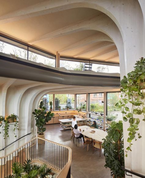 Heatherwick Studio completes its first Maggie's Centre, complete with tactile wood finishes, and a communal roof garden. Counselling Room, Heatherwick Studio, Thomas Heatherwick, Timber Structure, Van Gogh Museum, Ground Floor Plan, Building Structure, Roof Garden, Emotional Support