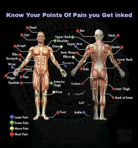 Tattoo pain points Healthy Tattoo Ideas, Tattoo Care Tips, Tattoo Chart, Pain Chart, Electronic Tattoo, Viking Tattoo Sleeve, Single Needle Tattoo, Biomechanical Tattoo, Samoan Tattoo