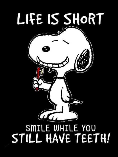 Goodnight Snoopy, Snoopy Cartoon, Snoopy Funny, Snoopy Images, Peanuts Cartoon, Snoopy Wallpaper, Snoopy Quotes, Snoopy Pictures, Snoop Dog