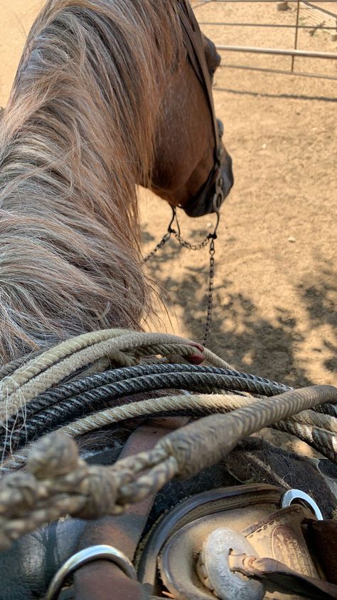 Rodeo life. Ranch life. Punchy Caballos Aesthetic, Rancho Aesthetic, Horse Inspiration, Gif Instagram, Dream Life House, Rodeo Life, Western Life, Home On The Range, Emotional Photography