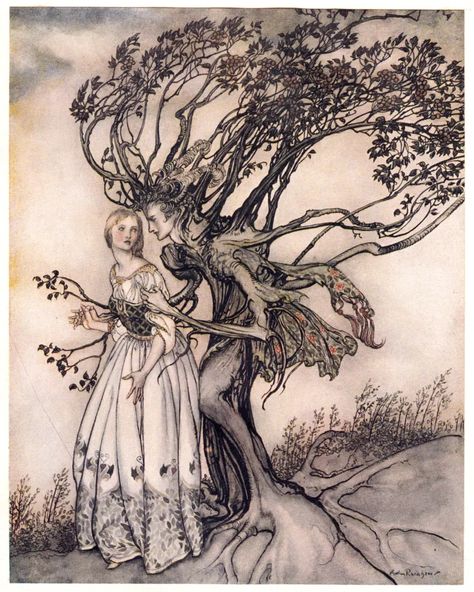 Brothers Grimm Fairy Tales, 동화 삽화, Arthur Rackham, Brothers Grimm, Art Tumblr, Grimm Fairy Tales, Fairytale Illustration, Fairytale Art, Old Woman