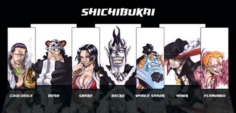 Shichibukai Original 7 - #0006 Warlords One Piece, Dracule Mihawk, Sir Crocodile, Watch One Piece, One Piece Wallpaper Iphone, Pokemon Drawings, One Piece Fanart, One Piece Luffy, One Punch