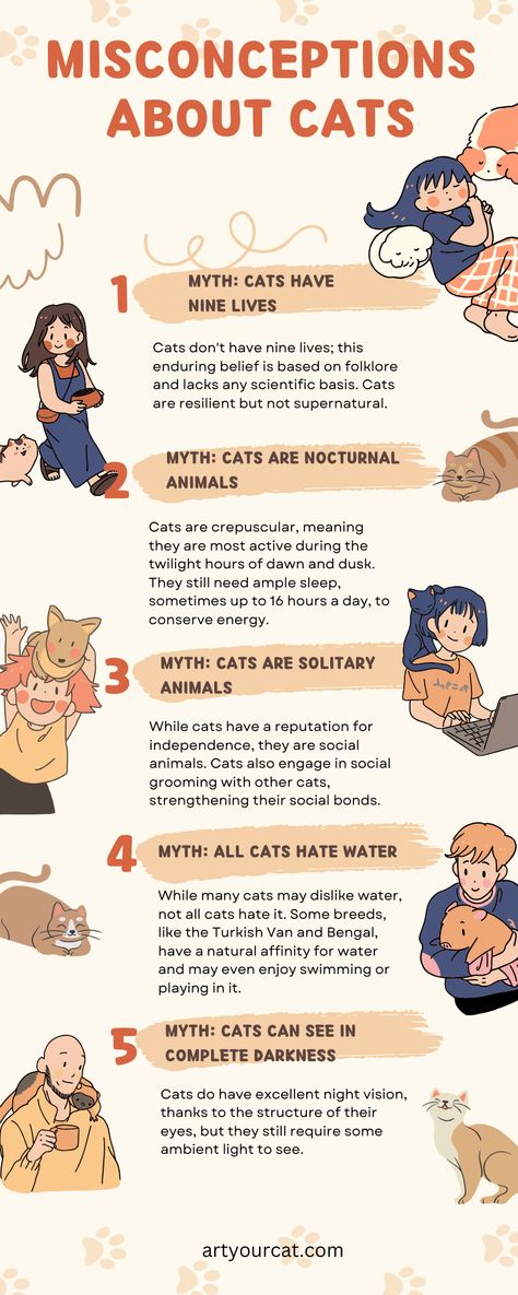 🐾🙀 Time to clear the air about our feline friends! 😼💨 Cats have more misconceptions than a Hollywood superstar, but fear not, I've got the lowdown. From debunking the "aloof cat" myth to explaining why they "knead" you like a pizza crust, this post is your ticket to becoming a cat-tastic expert! 🎫🐱✨ Let's unravel the mysteries of our whiskered buddies together! 😸💬💡 #ArtYourCat #CatLife #CatPortrait #CatConspiracies #PawsandTruth #MeowMyths #CatsDecoded 🐾🕵️‍♂️ Pet Infographic, Cat Information, Cat Activities, Cat Infographic, Pet Advertising, Animal Infographic, Information About Cats, Sweet Sayings, Best Cat Food