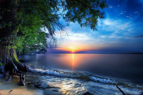 Peaceful Sunsets Photo Contest Winners - ViewBug.com The Beach, Trees, Sun, Water