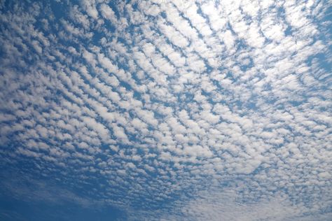 Cirrocumulus Cloud in blue sky on sunny peaceful day. Types Of Clouds, Cloud Names, Cloud Type, Cloud Photos, Grey Clouds, Thunder And Lightning, Watercolor Paintings Easy, Weather Change, Stormy Weather