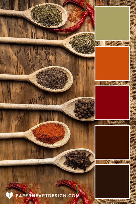 SPICE BY THE SPOONFUL Those earth tones are an awesome combo. HEX CODES: #291308 #3c1100 #88000c #ce4f0a #aaa264 Earth Tones Kitchen, Earth Colour Palette, Earth Tone Color Palette, Illustration Nature, Earth Tone Color, Red Colour Palette, Color Schemes Colour Palettes, Spice Cabinet, Brand Color Palette