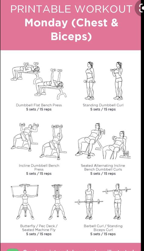 Wedding Ready Workout Plan, Arms And Chest Workout For Women, Gym Workouts Women Weights, Upper Body Workout At Gym Machine, Dumbell Back Workout Women, Workout Routines At The Gym, Chest And Bicep Workout, Weight Machine Workout, Gym Training Program