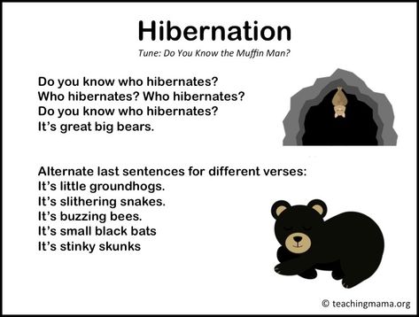 The winter season is the perfect time for children to learn about hibernation. Kids are naturally curious and they like to know what animals do during the winter months. Since my kids ask a lot of questions, we’ve done several activities to teach them about hibernation.  The kids had fun and we learned a lot! … Hibernation Preschool Theme, Hibernation Preschool Crafts, Hibernation Preschool Activities, Hibernation Crafts, Winter Animals Preschool, Hibernation Preschool, Hibernation Activities, Animals That Hibernate, Bear Songs