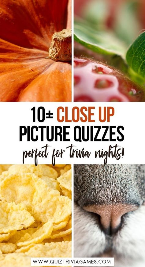 Picture Quiz Questions And Answers Free, Christmas Picture Quiz, Picture Trivia, Trivia Questions For Adults, Black Forest Cherry Cake, Object Pictures, Animal Close Up, Family Quiz, Picture Quiz