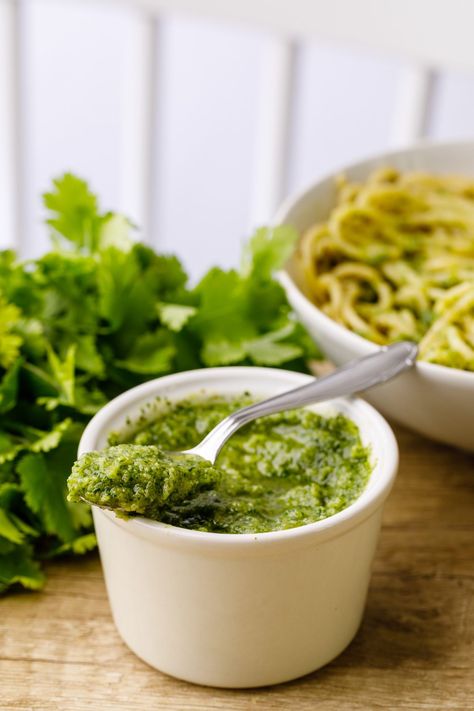 5-Minute Cilantro Pesto Recipe - Nurtured Homes Cilantro Pesto Recipe, Cilantro Pesto, Small Food Processor, Pesto Recipe, Pine Nuts, Vegetarian Cheese, Gluten Free Vegetarian, Cilantro, Pesto