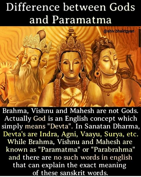 Indian Facts, Vedic Knowledge, Sanatan Dharam, Hinduism History, Hindu Vedas, Jay Shree Krishna, Hindu Quotes, Indian Philosophy, Ancient History Facts