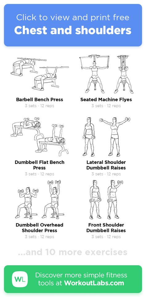 Chest And Shoulder Workout, Workoutlabs Fit, Chest And Tricep Workout, Gym Routines, Workout Chest, Full Body Weight Workout, Yoga Ball Exercises, Workout Labs, Shoulders Workout