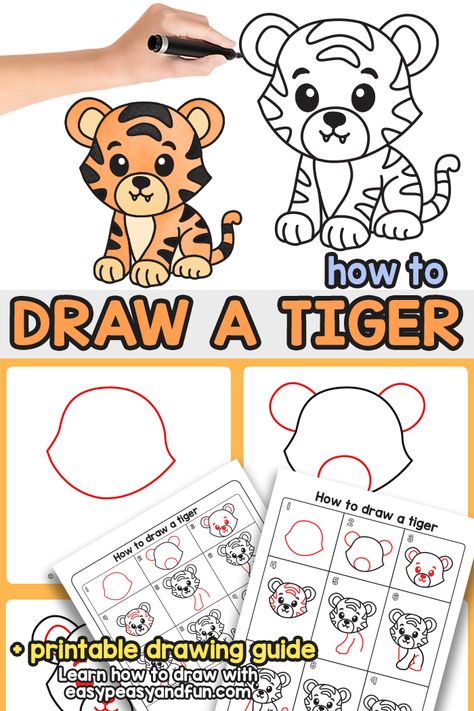 How to Draw a Tiger – Step by Step Drawing Tutorial - Easy Peasy and Fun How To Draw A Tiger, Tiger Craft, Tiger Drawing Tutorial, Easy Tiger Drawing, Easy Drawing Tutorial, Youtube Drawing, Cartoon Tiger, Tiger Drawing, Easy Drawing Steps