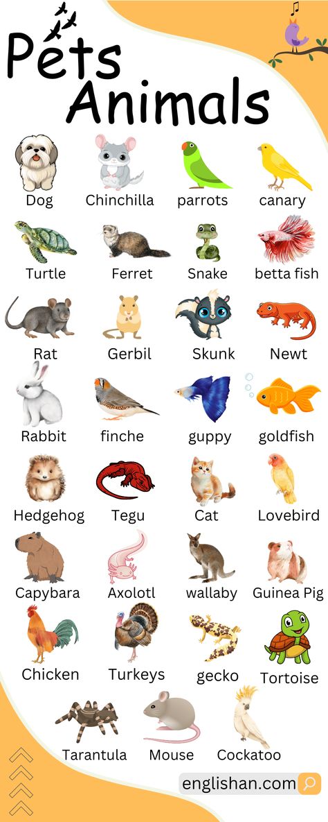 Pets Animals Names Pet Animals Name, Pet Vocabulary, Animal Vocabulary, Learning Animals, Picture Vocabulary, Animals Name In English, Basic English Grammar Book, Vocabulary In English, English Learning Books