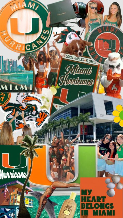 University Of Miami Football, Umiami College Aesthetic, University Of Miami Aesthetic, Umiami College, U Miami, U Of Miami, Miami College, College Gameday Outfits, Dream Collage