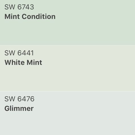 Mint Green Sherwin Williams, Pale Mint Green Paint, Sherwin Williams Mint Condition, Mint Condition Sherwin Williams, Mint Green Exterior House Colors, White Mint Sherwin Williams, Mint Green Paint Color, Sherwin Williams Paint Colors Green, Mint Green Paints