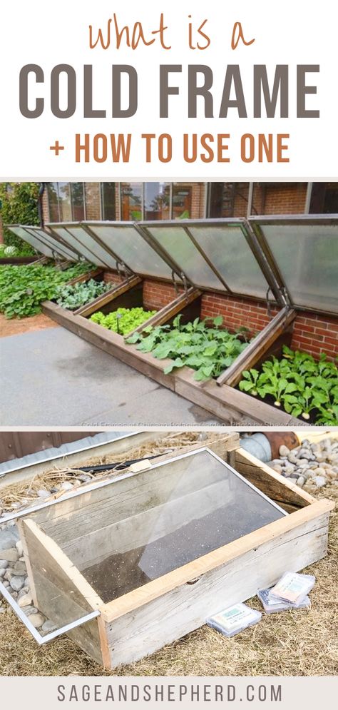 Learn everything you need to know about a cold frame! A cold frame allows you to plant earlier and grow cold hardy crops like lettuce and roots! Pallet Cold Frame, Straw Bale Cold Frame, Coldframe Gardening Diy, Cold Frame Diy How To Build, Diy Cold Frame Ideas, Diy Cold Frames, How To Build A Cold Frame, Cold Box Gardening, Diy Cold Frame Raised Beds